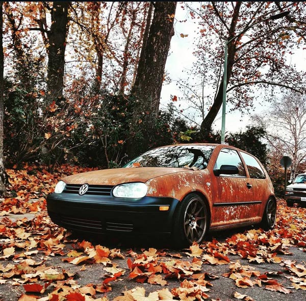 Full side profile showing authentic rust effect finish in autumn setting